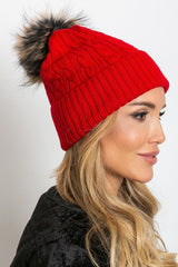  pet model 208260 AT 