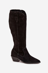  Laarzen met hoge hakken model 220210 Step in style 