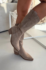  Laarzen met hoge hakken model 222529 Step in style 